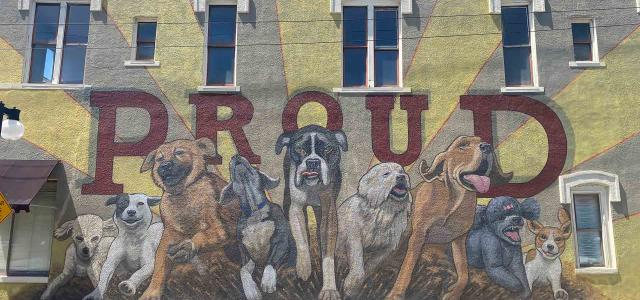 Dogtown Proud
